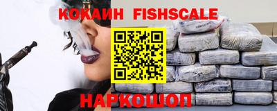 сатива Гай