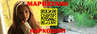 сатива Гай