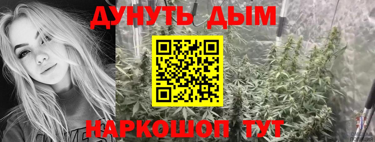 Можайск  Бошки Шишки планчик  Канабис Bruce Banner  Конопля конопля  Вход с VPN 